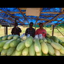 Die stolzen Besitzer des Saftladens